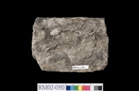 藏品(千枚岩)的圖片